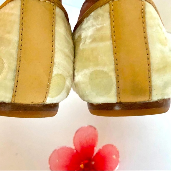 BORN CROWN pointed toe/ flats with bow. - Picture 6 of 6